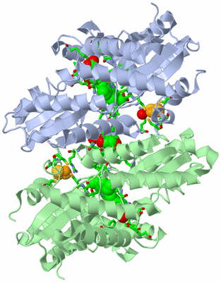 Image Asym./Biol. Unit - sites