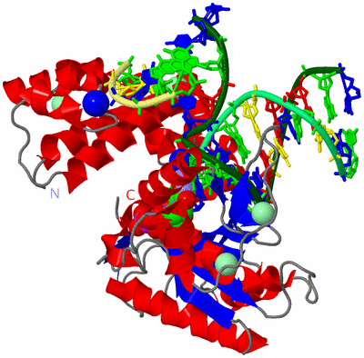 Image Asym./Biol. Unit