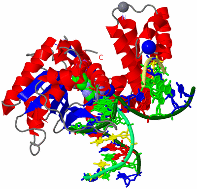 Image Asym./Biol. Unit