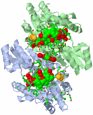 Image Asym./Biol. Unit - sites