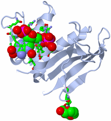 Image Biol. Unit 1 - sites