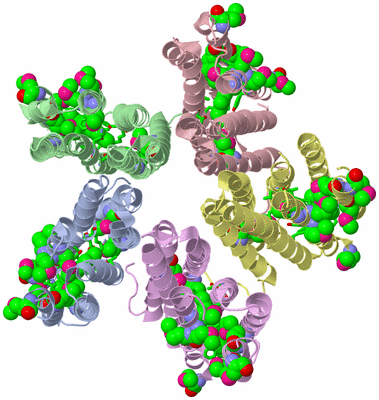 Image Asym./Biol. Unit - sites