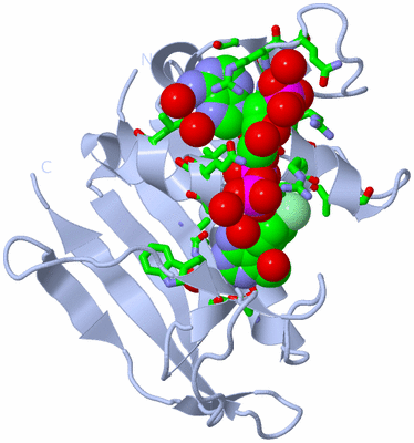 Image Biol. Unit 1 - sites