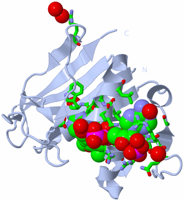 Image Biol. Unit 1 - sites