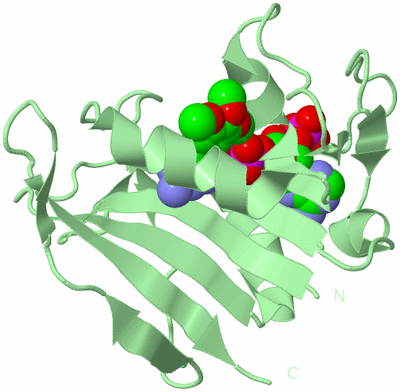 Image Biological Unit 2