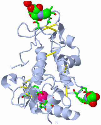 Image Biol. Unit 1 - sites