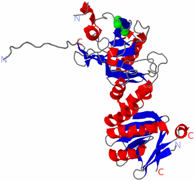 Image Asym./Biol. Unit