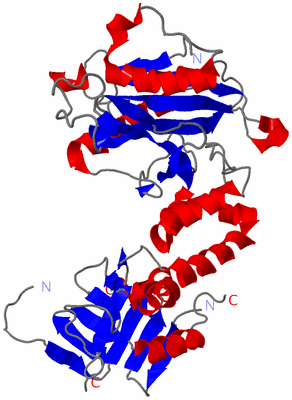 Image Asym./Biol. Unit