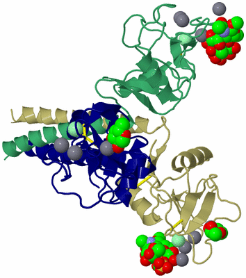 Image Asym./Biol. Unit
