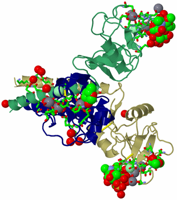 Image Asym./Biol. Unit - sites