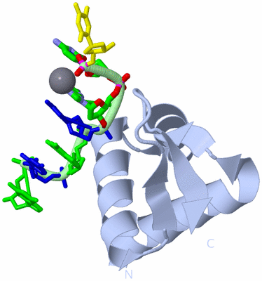 Image Biol. Unit 1 - sites