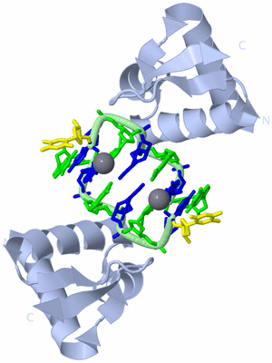 Image Biological Unit 2