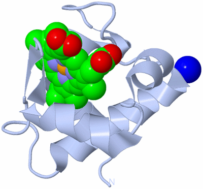 Image Biological Unit 1