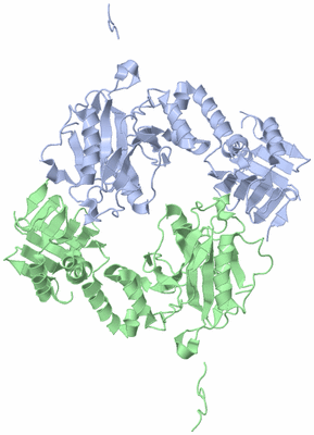 Image Asym./Biol. Unit