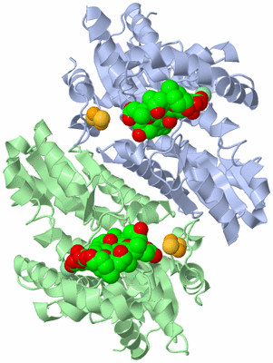 Image Asym./Biol. Unit