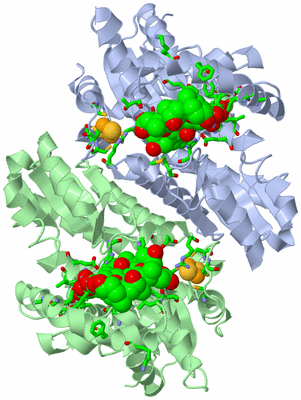 Image Asym./Biol. Unit - sites