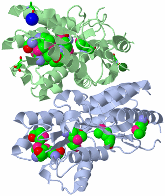 Image Asym./Biol. Unit - sites