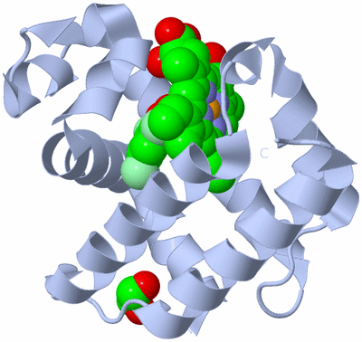 Image Biological Unit 1