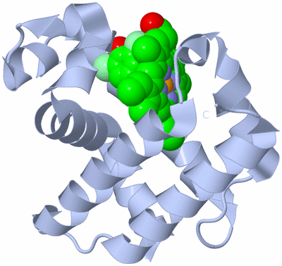 Image Biological Unit 1