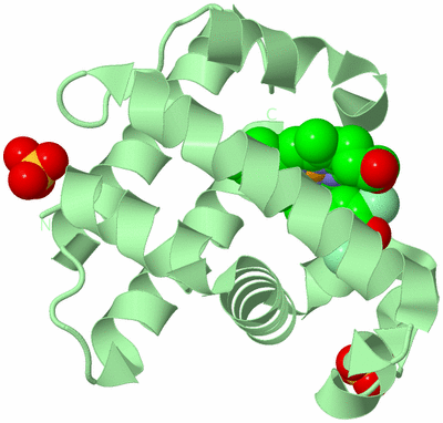 Image Biological Unit 2