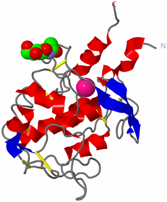 Image Asym./Biol. Unit