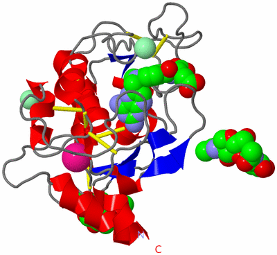 Image Asym./Biol. Unit