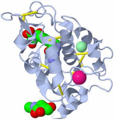 Image Biological Unit 1