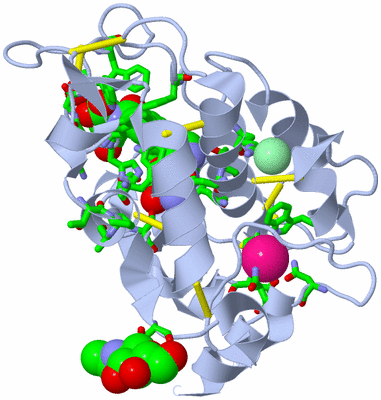 Image Biol. Unit 1 - sites