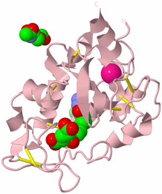 Image Biological Unit 3