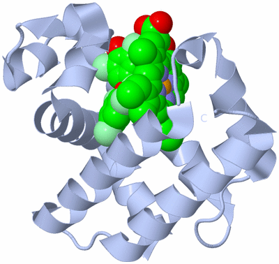 Image Biological Unit 1