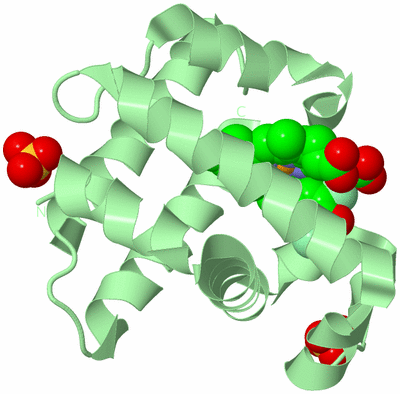 Image Biological Unit 2