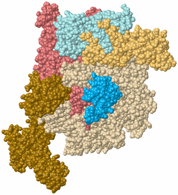 Image Biological Unit 2