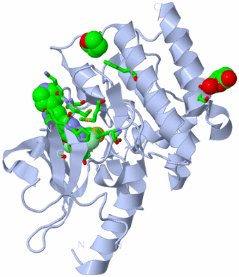 Image Biol. Unit 1 - sites