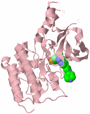 Image Biological Unit 3