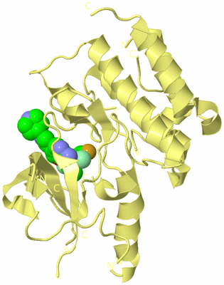 Image Biological Unit 4