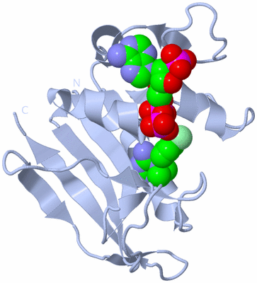 Image Biological Unit 1