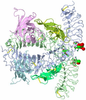 Image Asym./Biol. Unit - sites