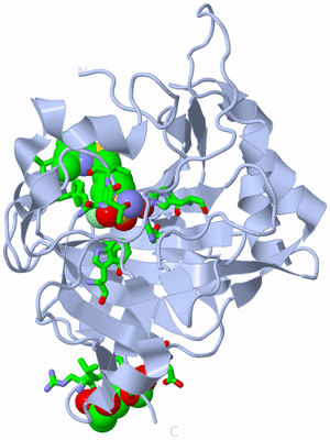 Image Biol. Unit 1 - sites