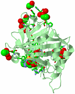 Image Biol. Unit 1 - sites