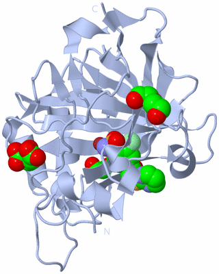 Image Biological Unit 2