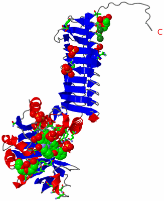 Image Asym. Unit - sites