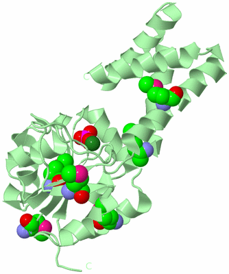 Image Biological Unit 2