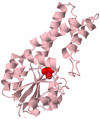 Image Biological Unit 3