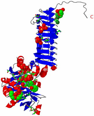 Image Asym. Unit - sites