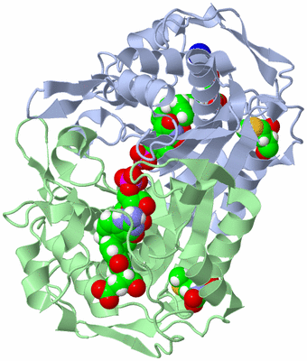 Image Asym./Biol. Unit