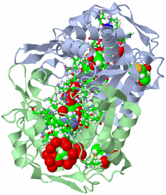 Image Asym./Biol. Unit - sites