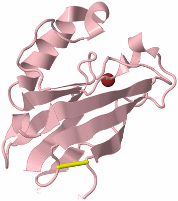 Image Biological Unit 3