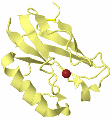 Image Biological Unit 4