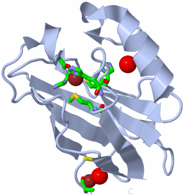 Image Biol. Unit 1 - sites