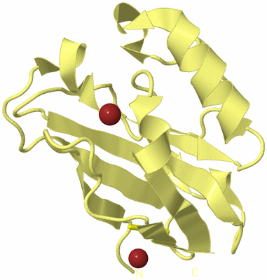 Image Biological Unit 4